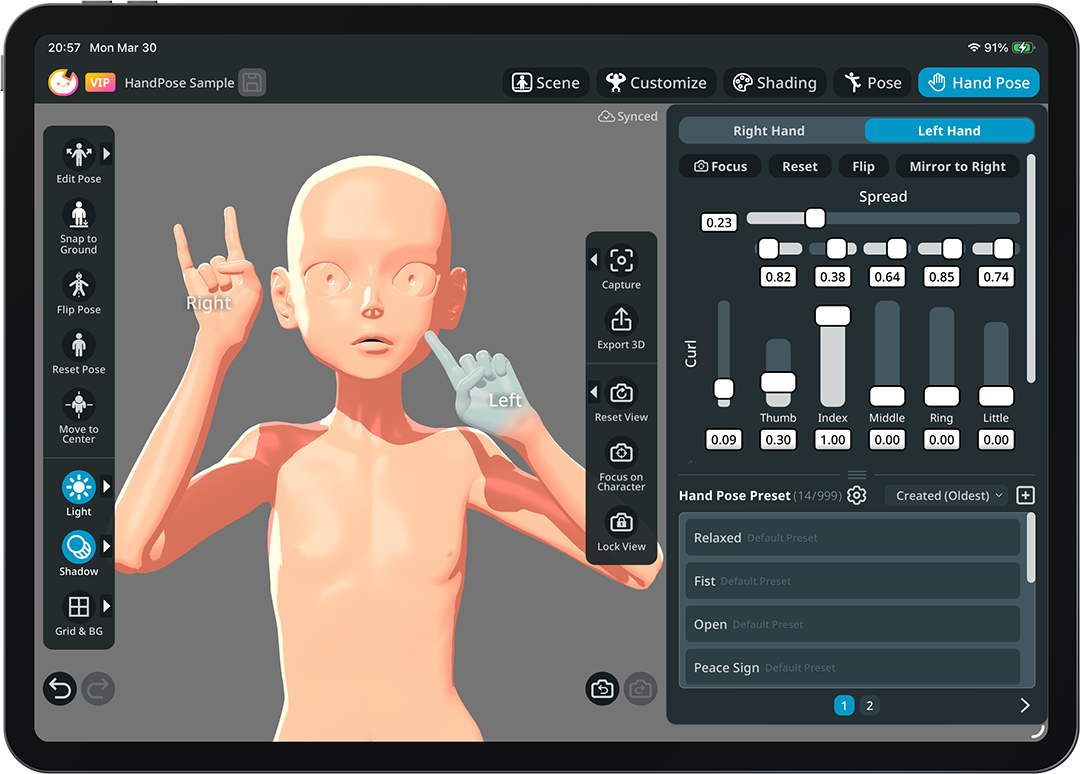 Hand pose controls on iPad